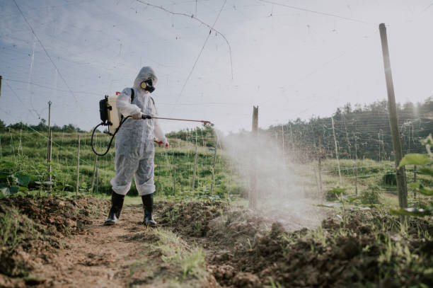 Best Mosquito Control Services  in Shawnee, KS